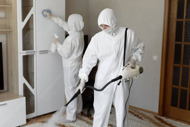 Best Mold Removal Process  in Wautoma, WI