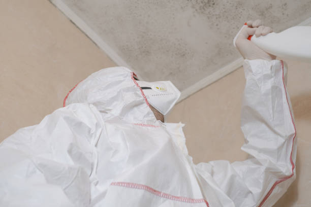 Best Mold Damage Repair  in Wautoma, WI