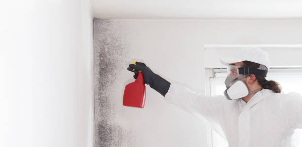 Best Residential Mold Removal  in Wautoma, WI