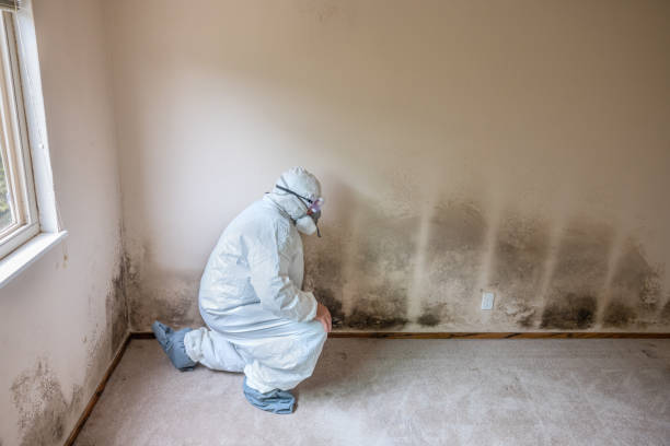 Best Mold Testing  in Wautoma, WI