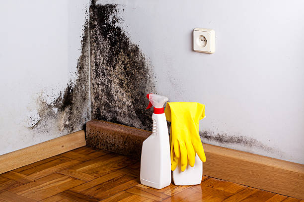 Crawl Space Mold Removal in Wautoma, WI